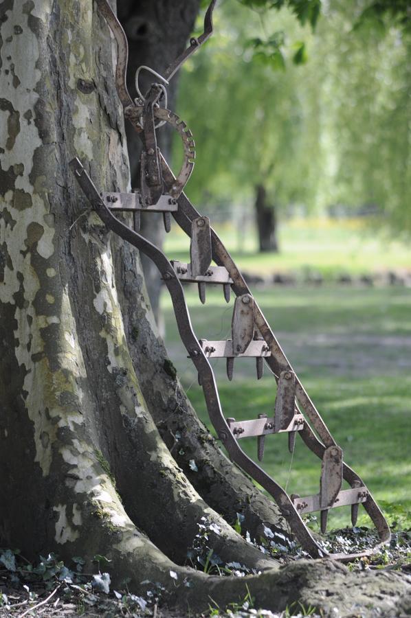 Domaine Ramonjavel, Glamping & Alpaca'S Panzió Fongrave Kültér fotó