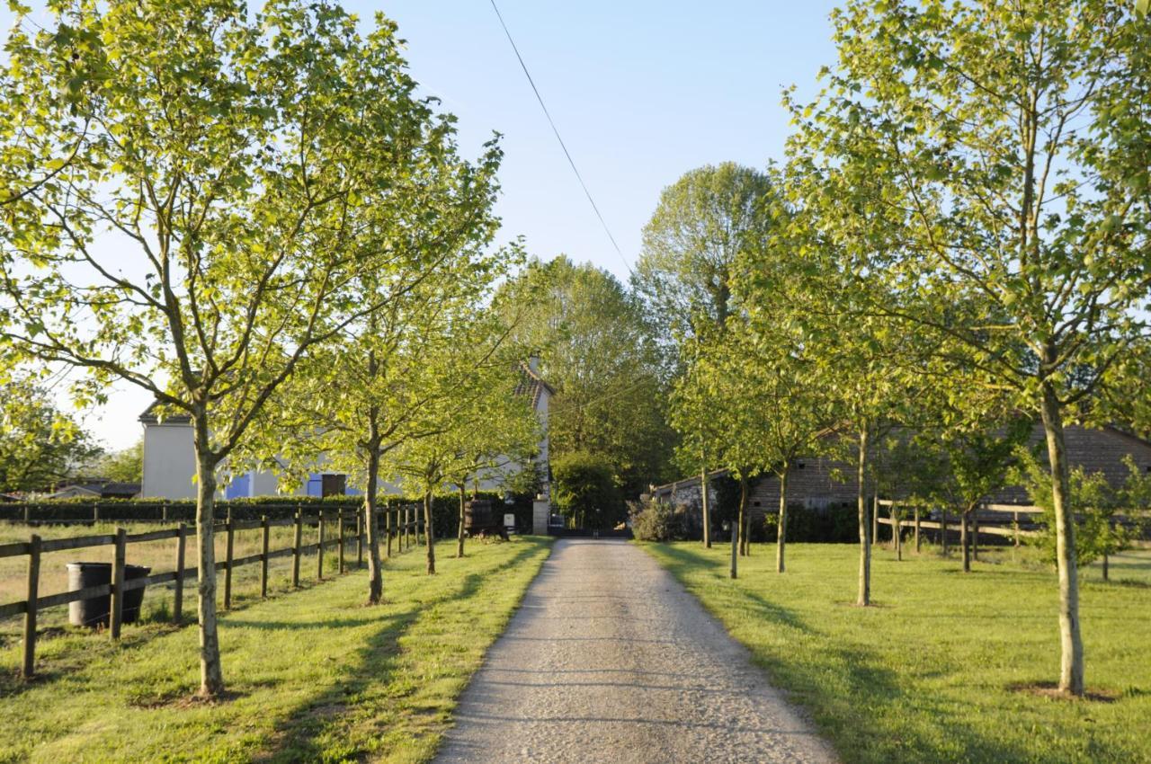 Domaine Ramonjavel, Glamping & Alpaca'S Panzió Fongrave Kültér fotó
