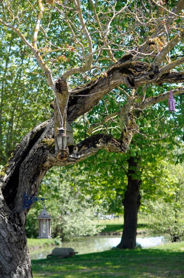 Domaine Ramonjavel, Glamping & Alpaca'S Panzió Fongrave Kültér fotó