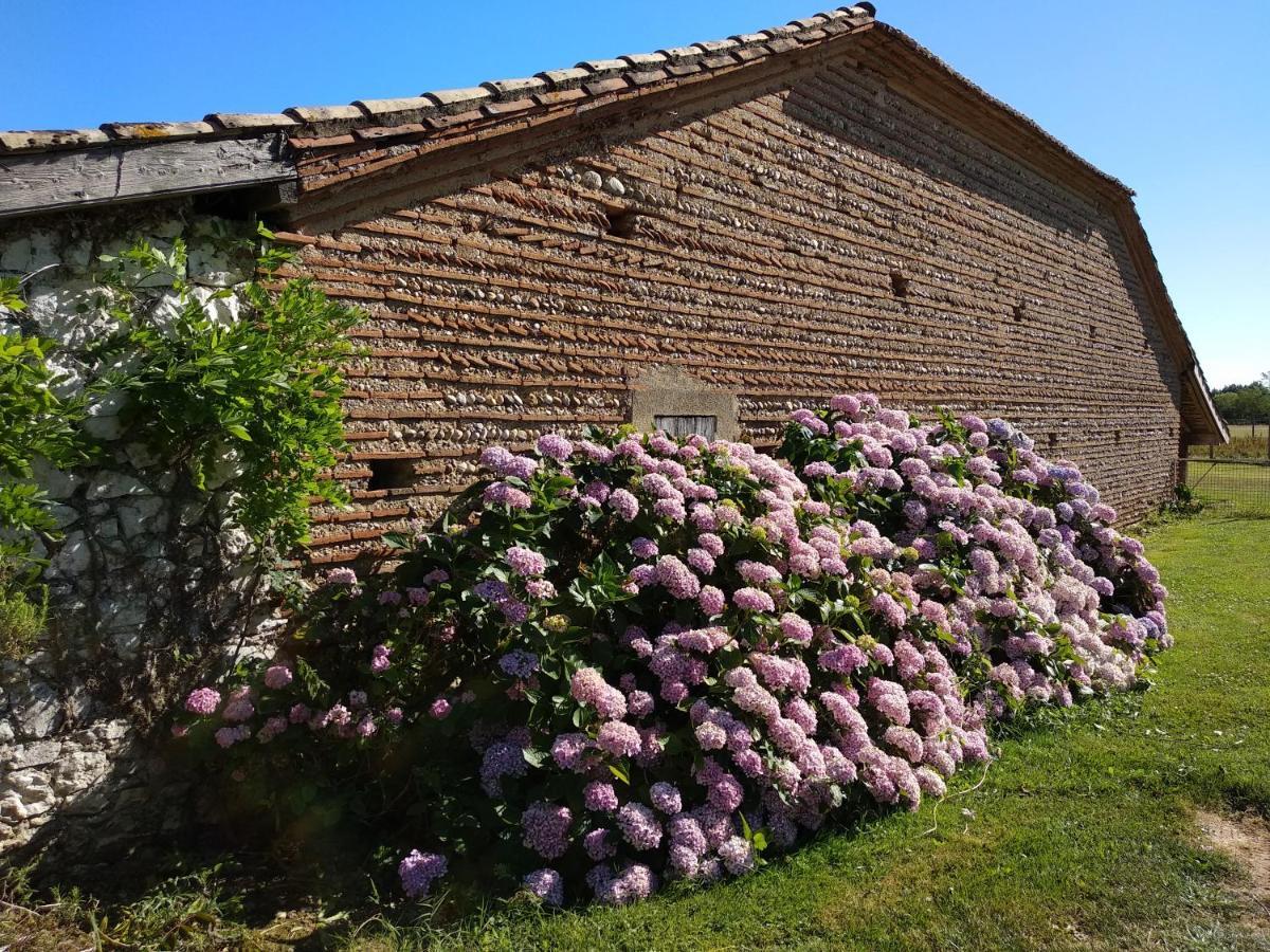 Domaine Ramonjavel, Glamping & Alpaca'S Panzió Fongrave Kültér fotó