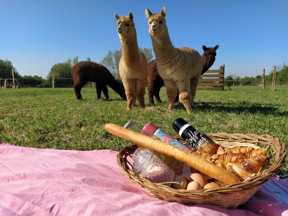 Domaine Ramonjavel, Glamping & Alpaca'S Panzió Fongrave Kültér fotó