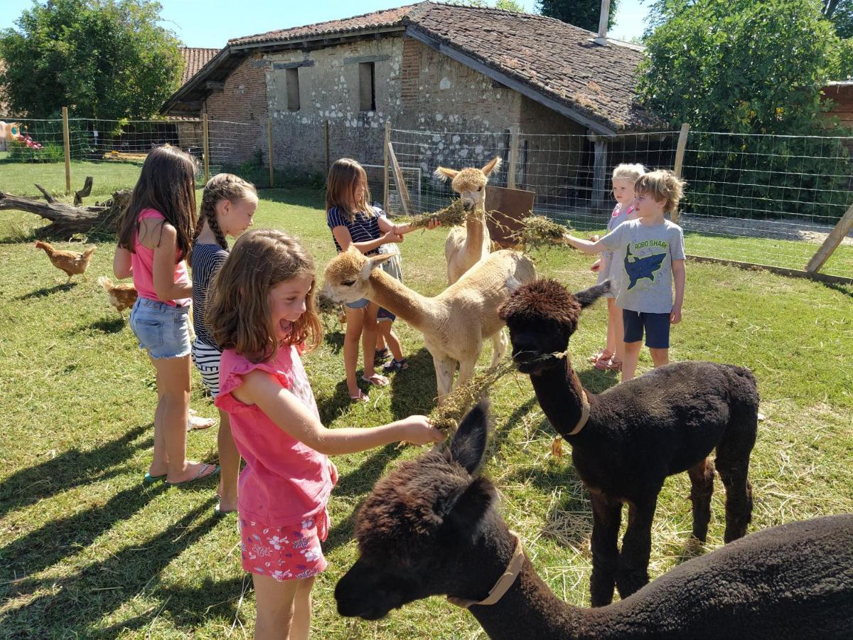 Domaine Ramonjavel, Glamping & Alpaca'S Panzió Fongrave Kültér fotó