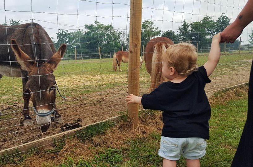 Domaine Ramonjavel, Glamping & Alpaca'S Panzió Fongrave Kültér fotó
